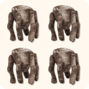 Project Hail Mary Plush 4PCS